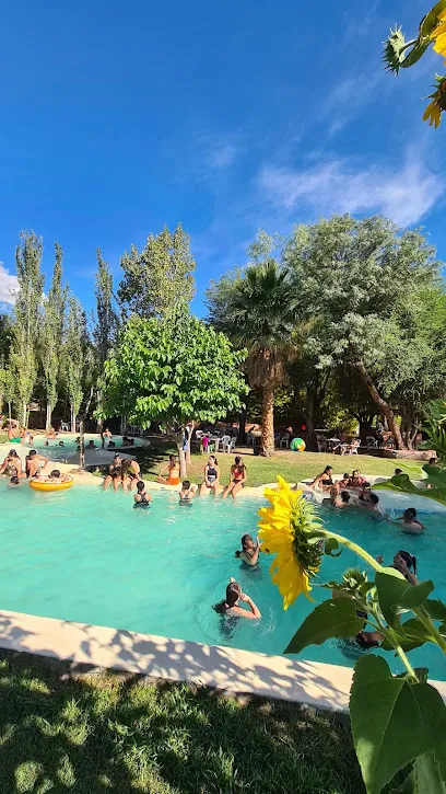 Hotel Camping Los Olivos