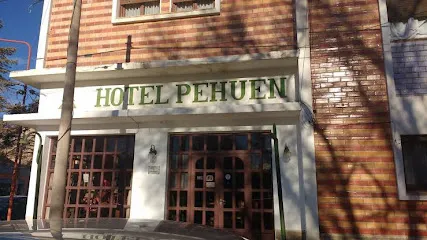 Foto de Hotel Pehuen