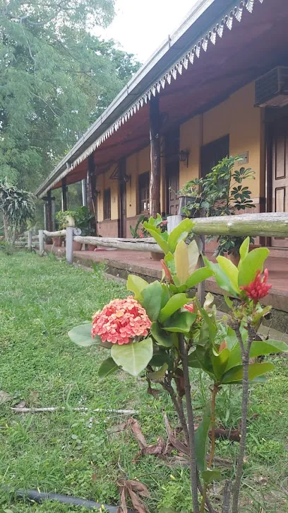 Foto de Posada el tigre del parana